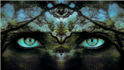 Ma boutique Spirits Forest Shaman